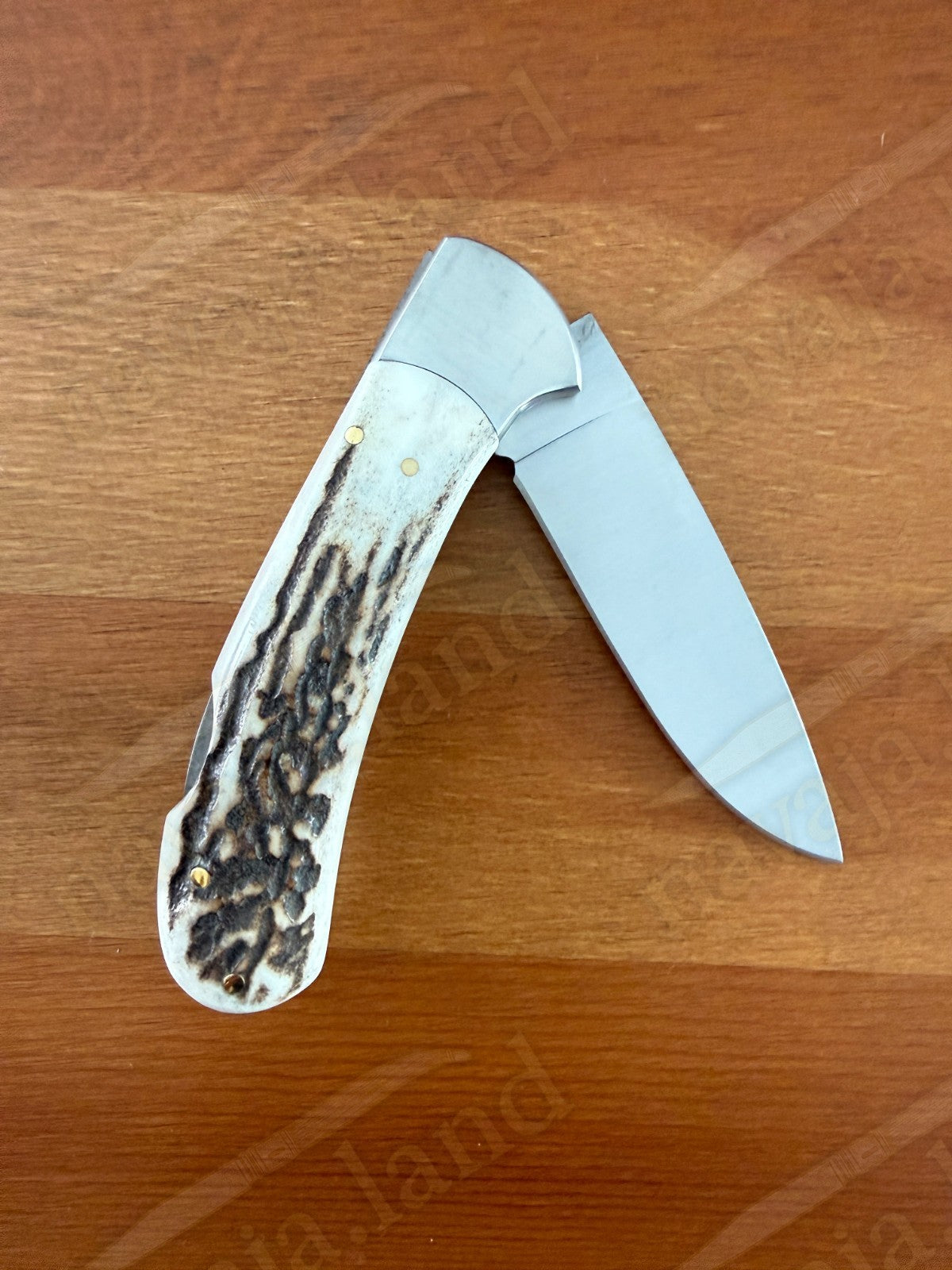 Joker Cocker Hunting Folding Knife 3.5” MOVA Blade Deer Antler Handle From Spain