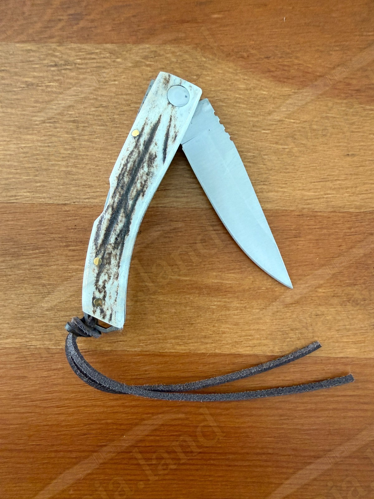 Joker Ibérica Folding Knife 🦌 Deer Horn Handle 3” MOVA 1.4116 Stainless Steel
