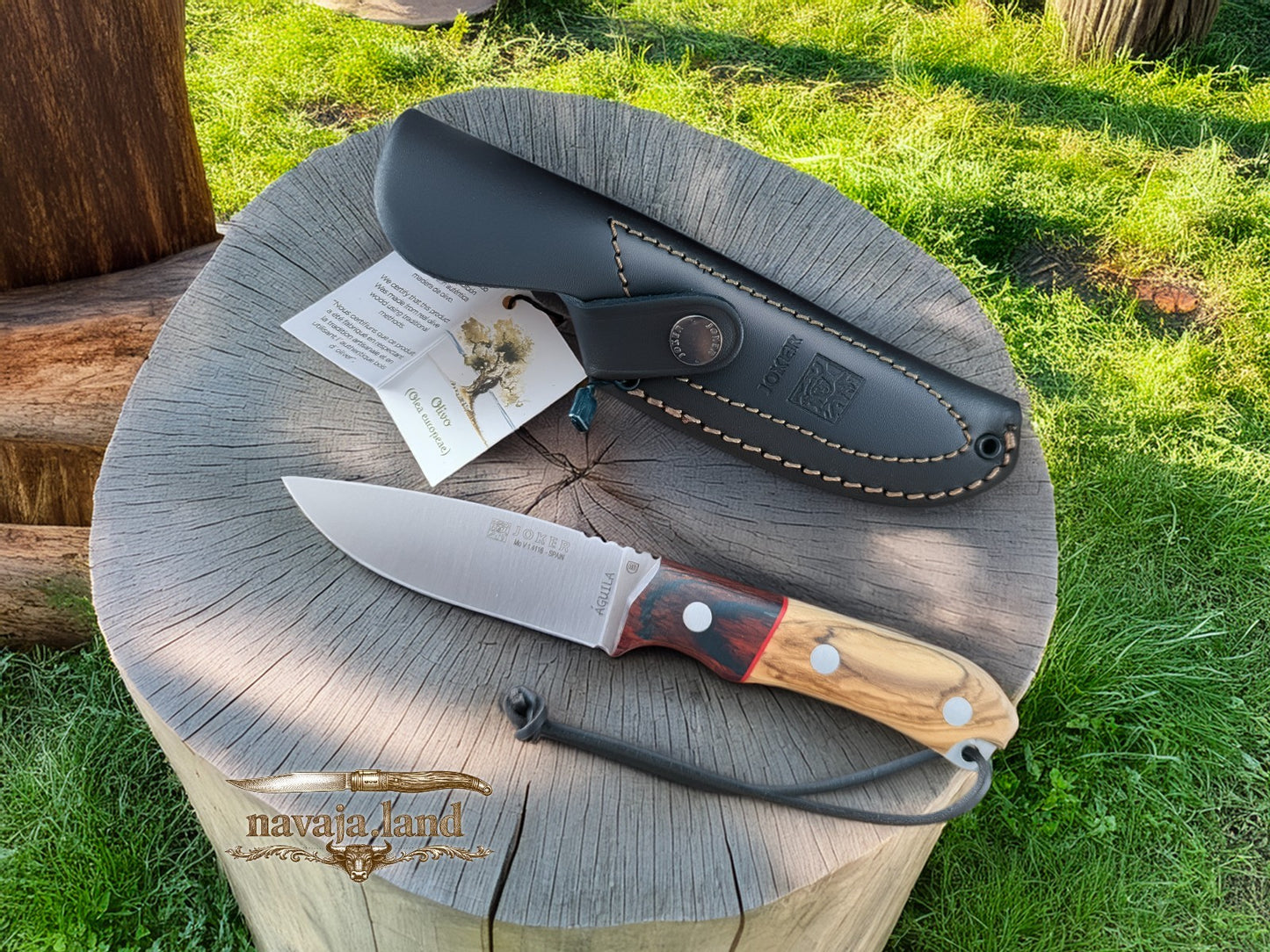 Joker Aguila Bushcraft Knife 4.13” MOVA Blade Olive Wood & Rosewood Handle
