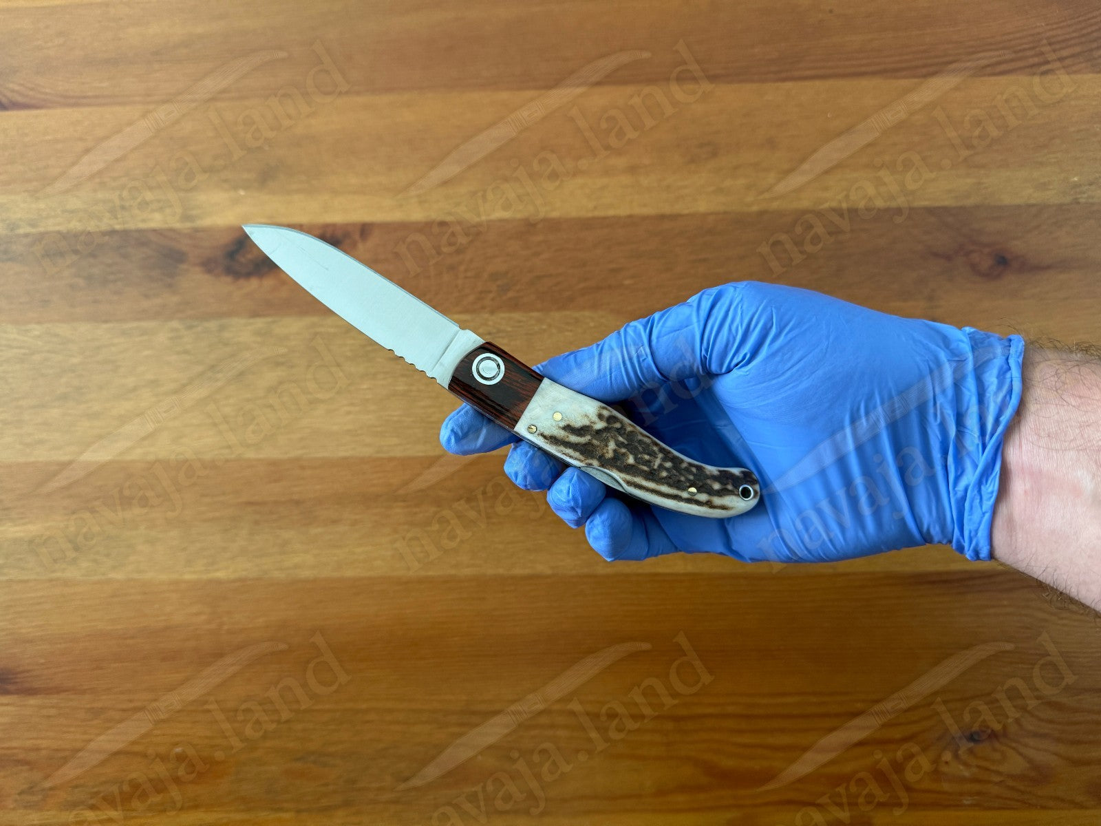 Joker Koala Pocket Knife 2.75” MOVA Blade Deer Horn Handle Grenadillo Ferrule