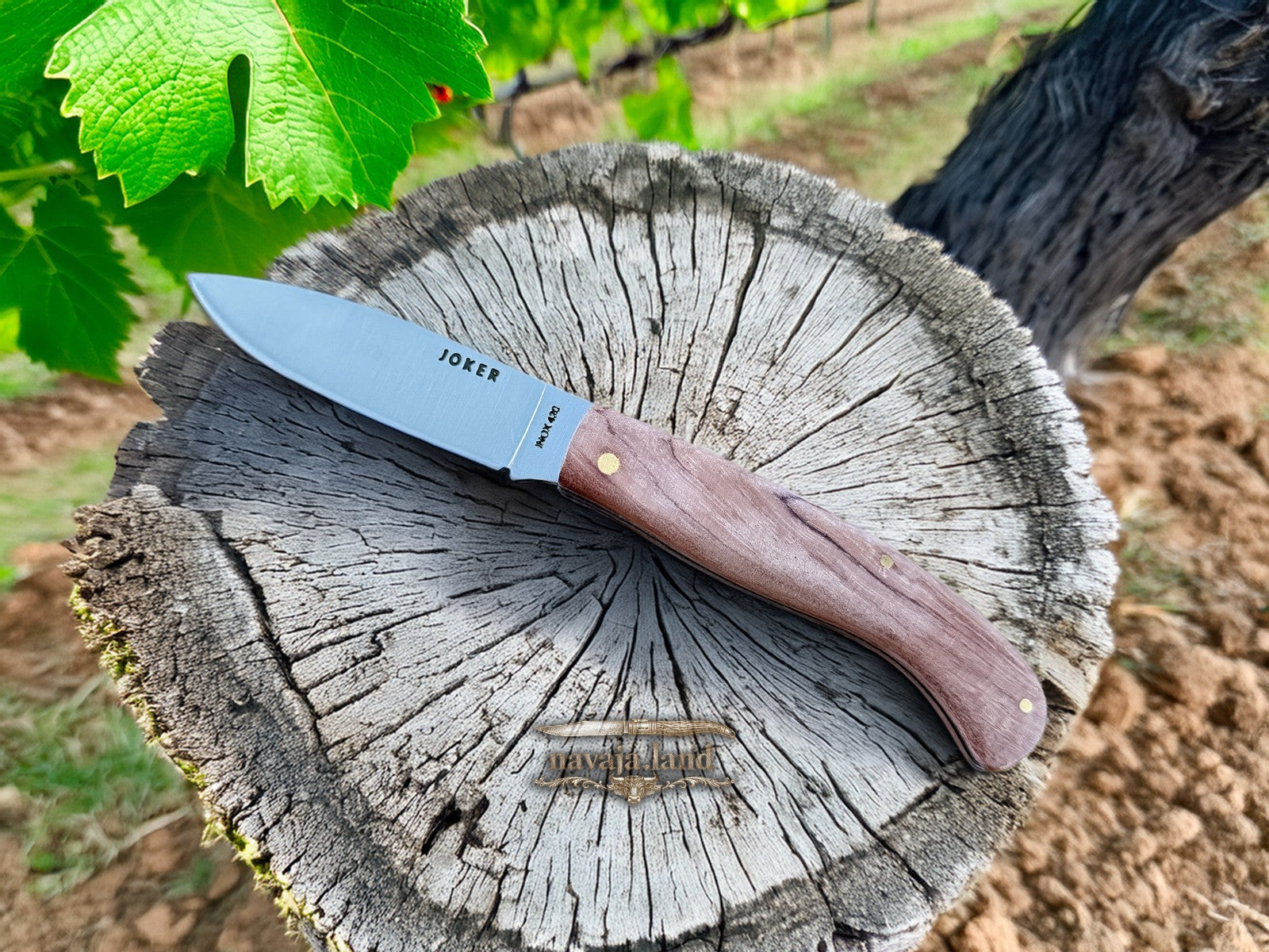 3.54” Joker Camping Folding Knife (Bubinga Wood Handle) 420 Steel - From Spain