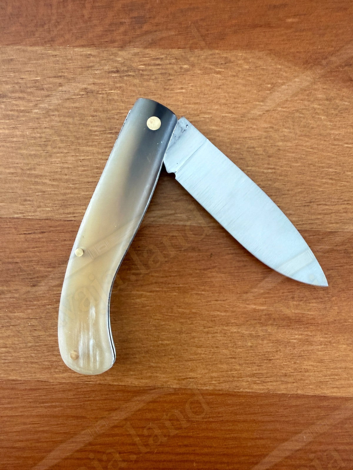 Joker Pocket Knife – Bull Horn Handle | 2.75” Blade | Slipjoint | Made in Spain