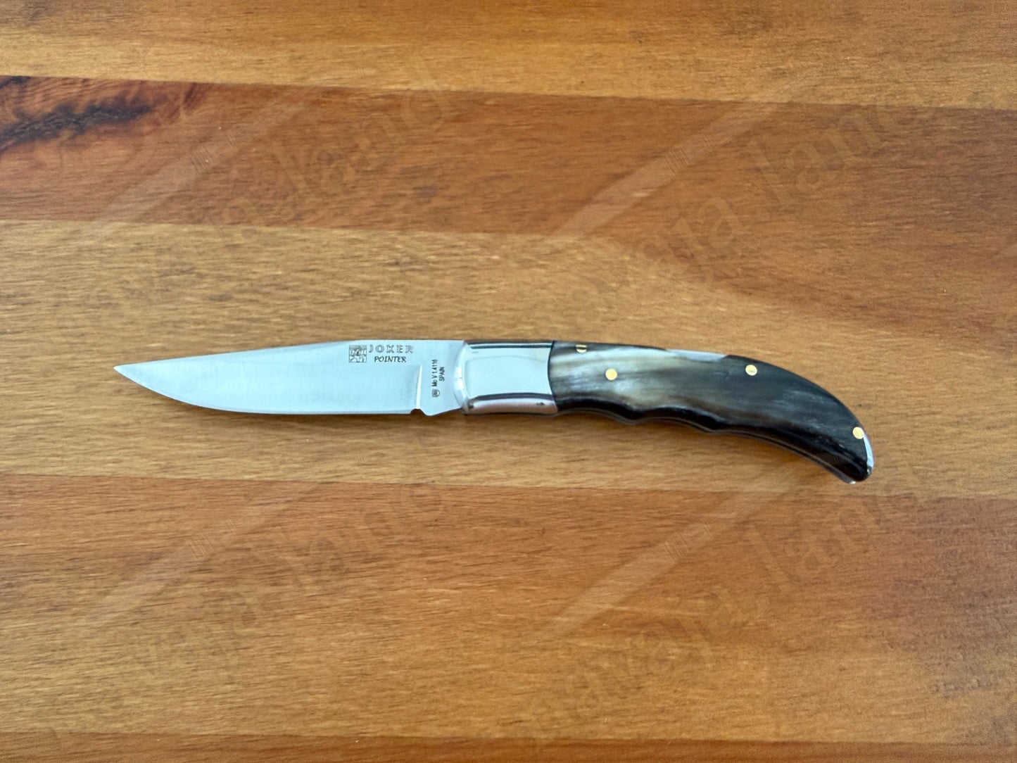 3” Joker Pointer Camping Folding Knife (Bull Horn Handle) Handmade in Spain