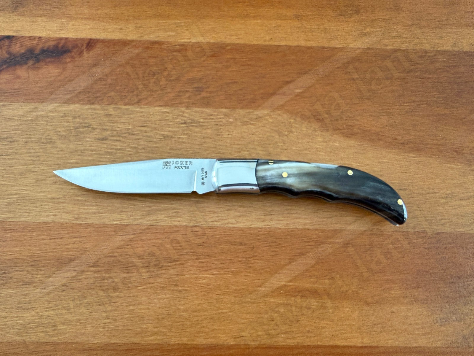 3” Joker Pointer Camping Folding Knife (Bull Horn Handle) Handmade in Spain