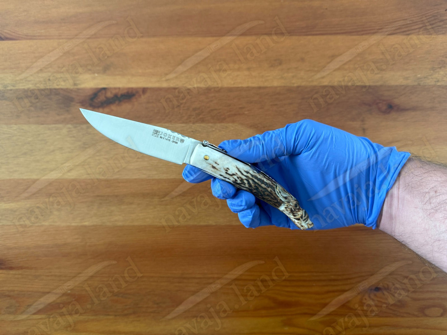 Joker Folding Knife w/ Hand Carved Wild Boar Motif Deer Antler 3.1" MOVA Steel
