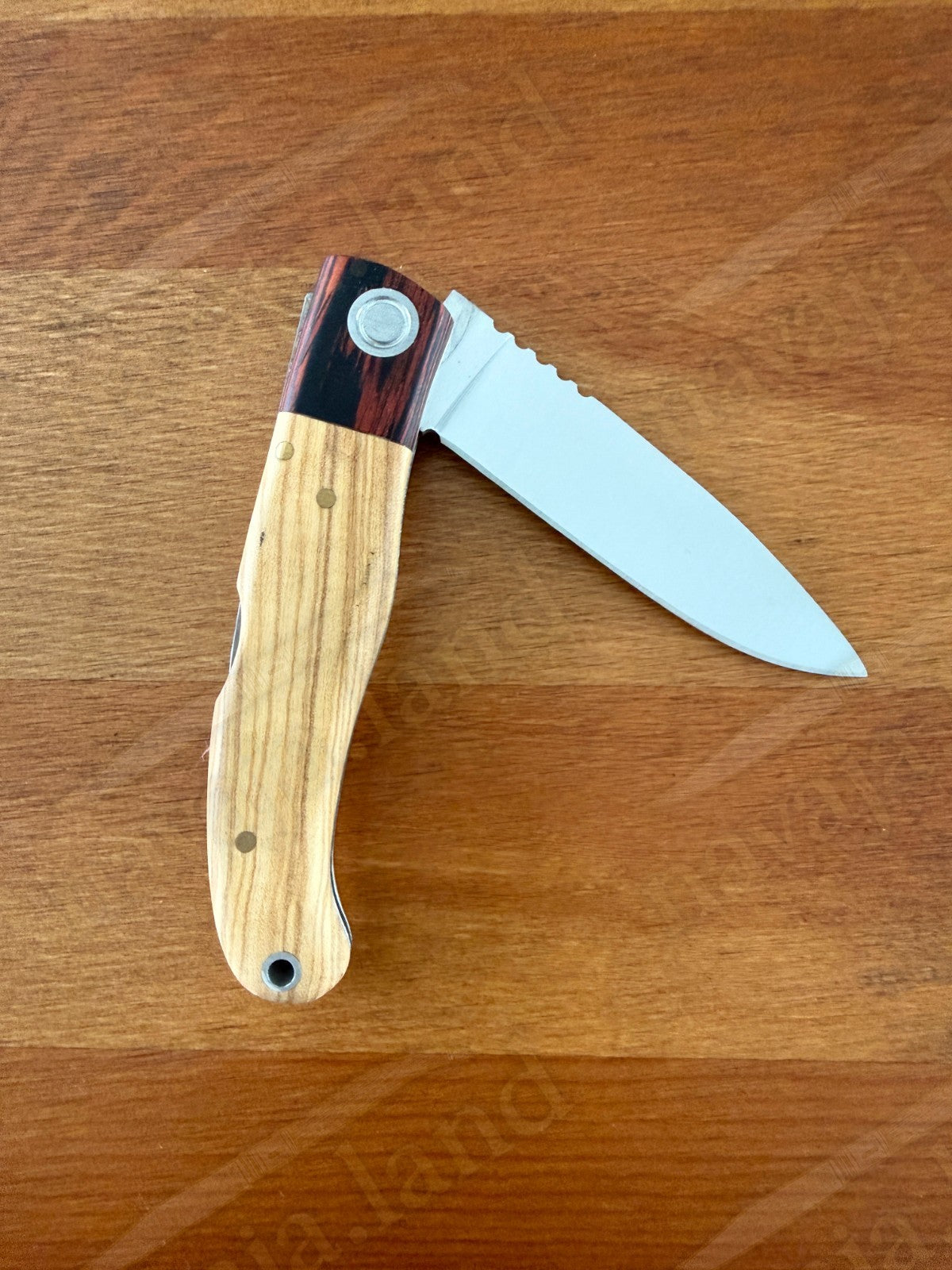 Joker Koala Pocket Knife 3.14” MOVA Blade Olive Wood & Rosewood Handle