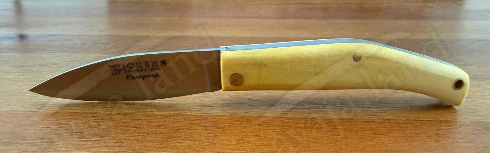 Joker Campera Pocket Knife 2.68” MOVA Steel Blade Boxwood Handle Made in Spain