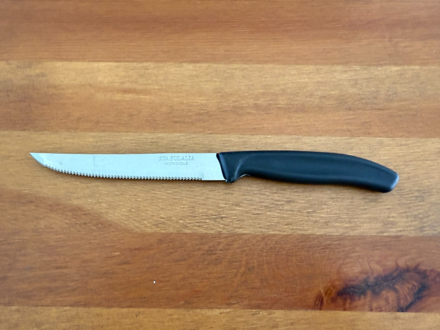 Table Knife with Injected Handle – Stainless Steel Serrated Blade From Spain