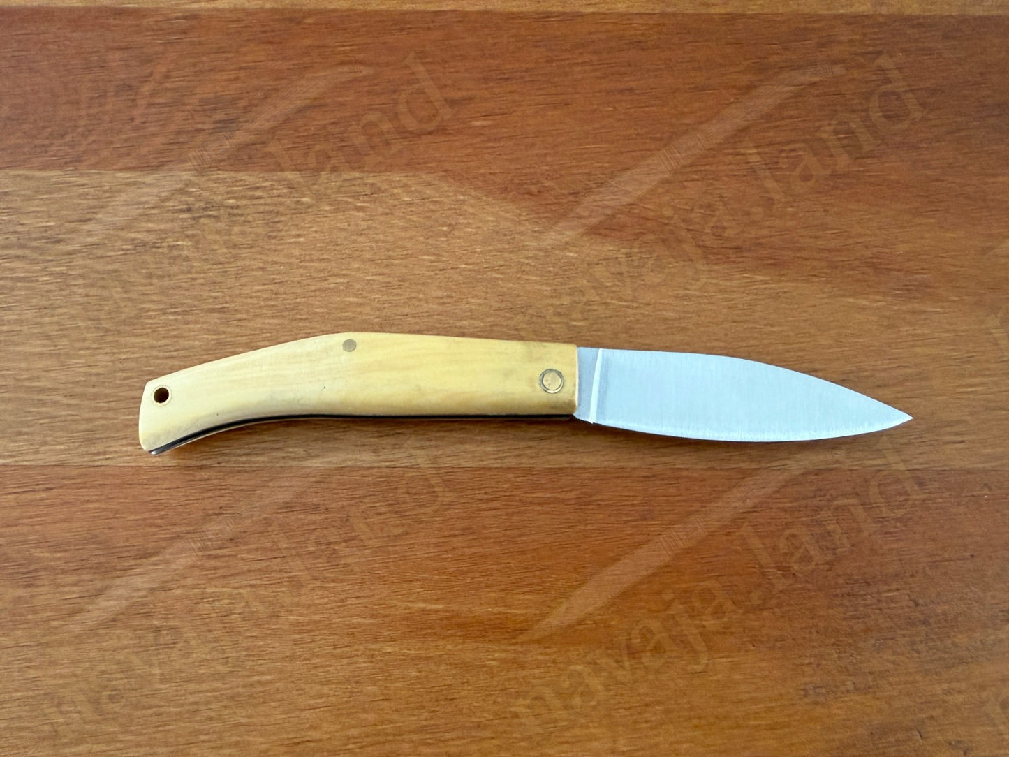 Joker Campera Pocket Knife 2.68” MOVA Steel Blade Boxwood Handle Made in Spain