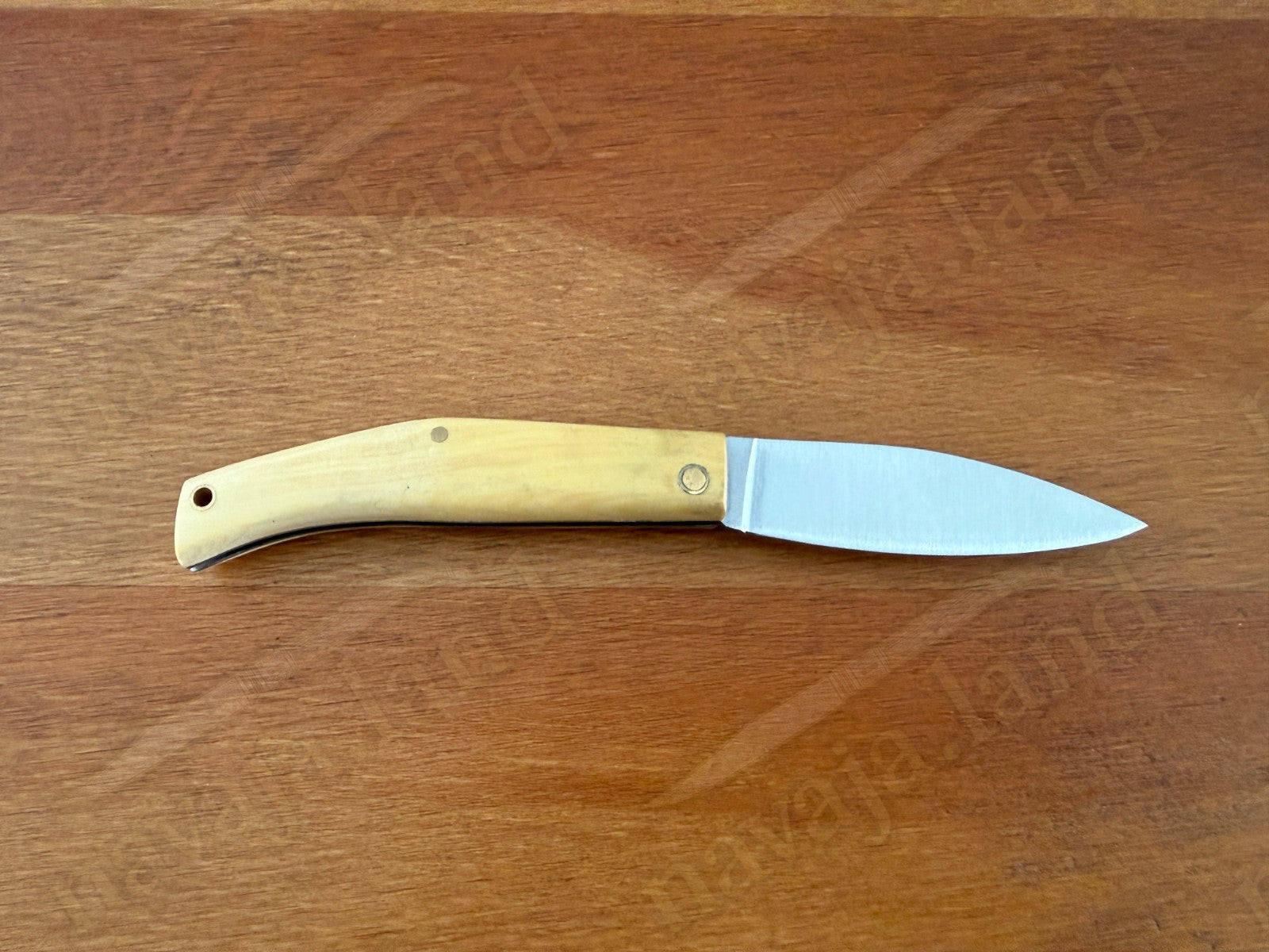 Joker Campera Pocket Knife 2.68” MOVA Steel Blade Boxwood Handle Made in Spain
