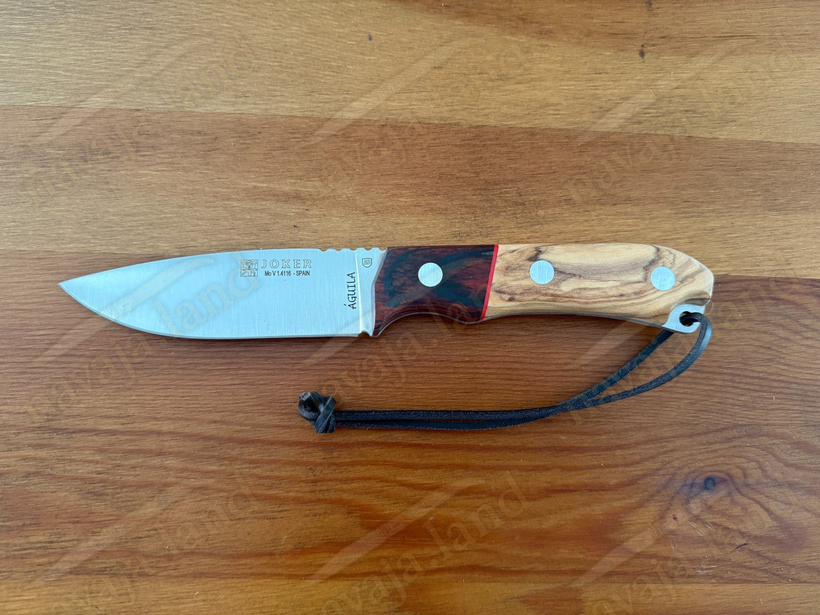 Joker Aguila Bushcraft Knife 4.13” MOVA Blade Olive Wood & Rosewood Handle