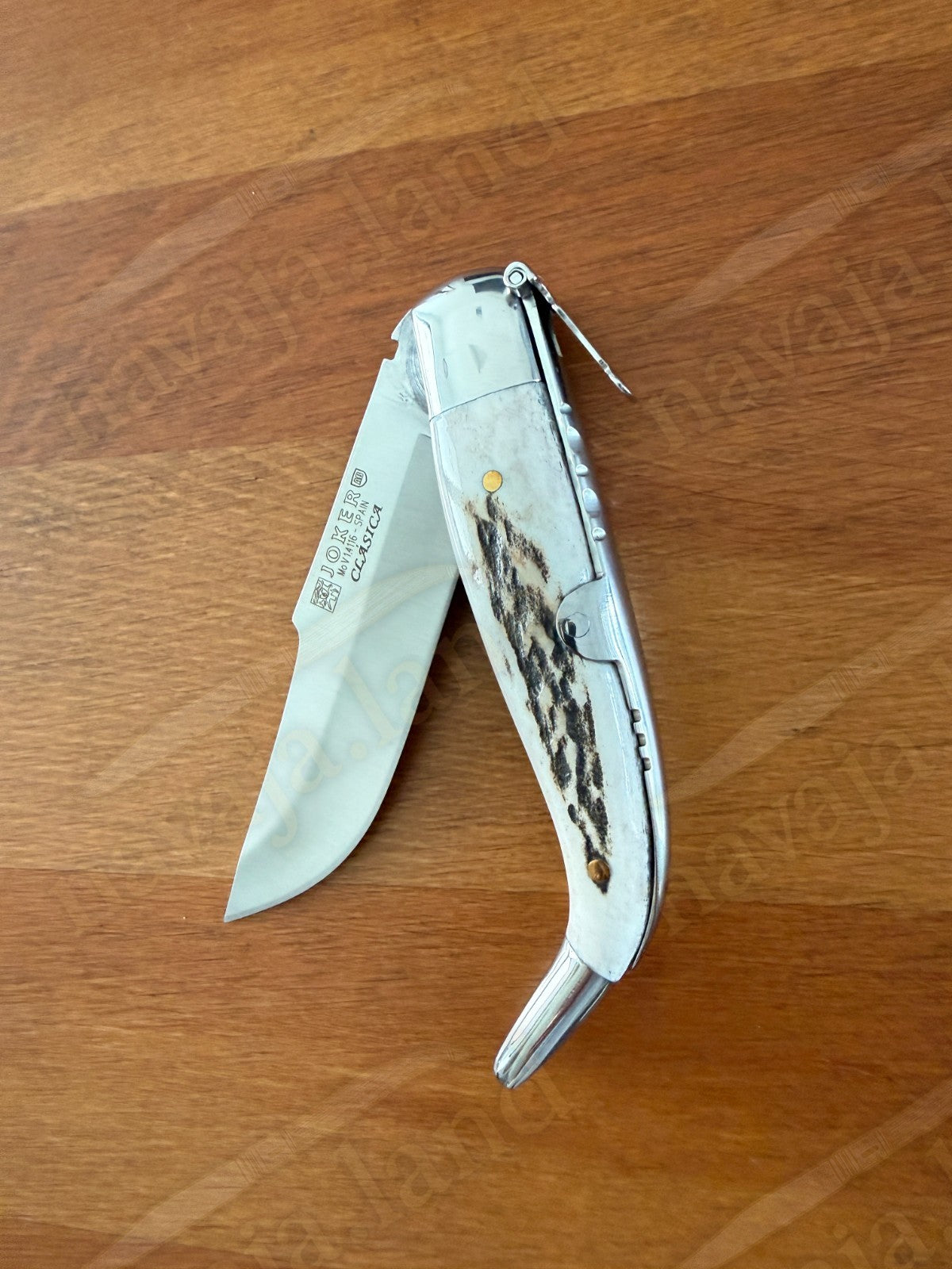 3.2” Joker Clasica Folding Knife Stag Horn Handle MOVA 1.4116 Stainless Steel