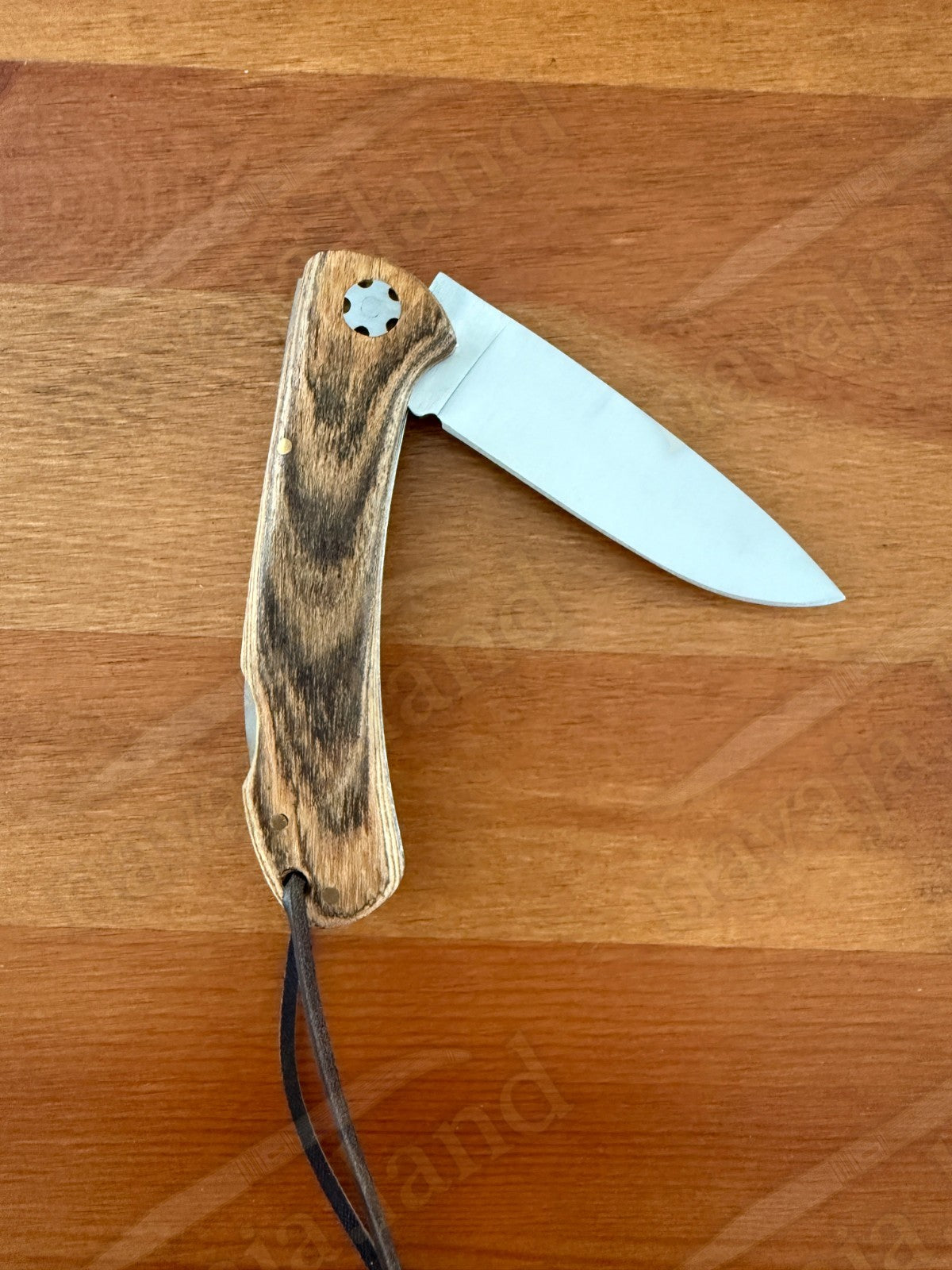 Joker Cocker Hunting Folding Knife 3.5” MOVA Blade Bocote Wood Handle From Spain
