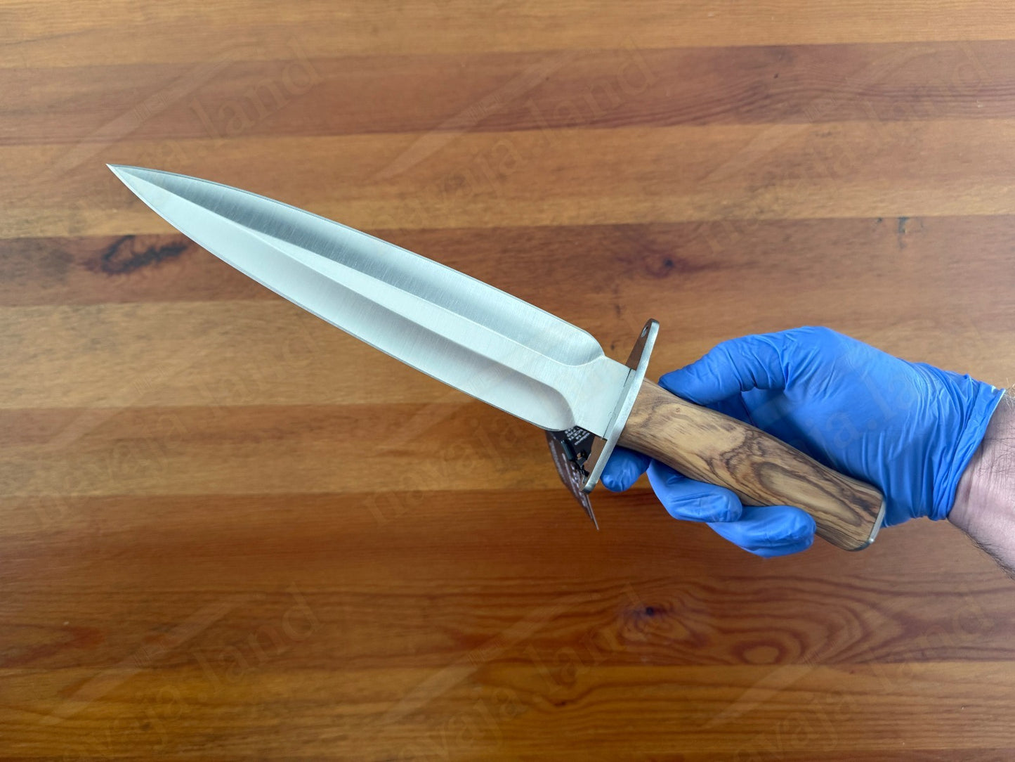 🔪Joker Colmillo Hunting Knife – 8.66” MOVA Blade | Olive Wood Handle | Spain