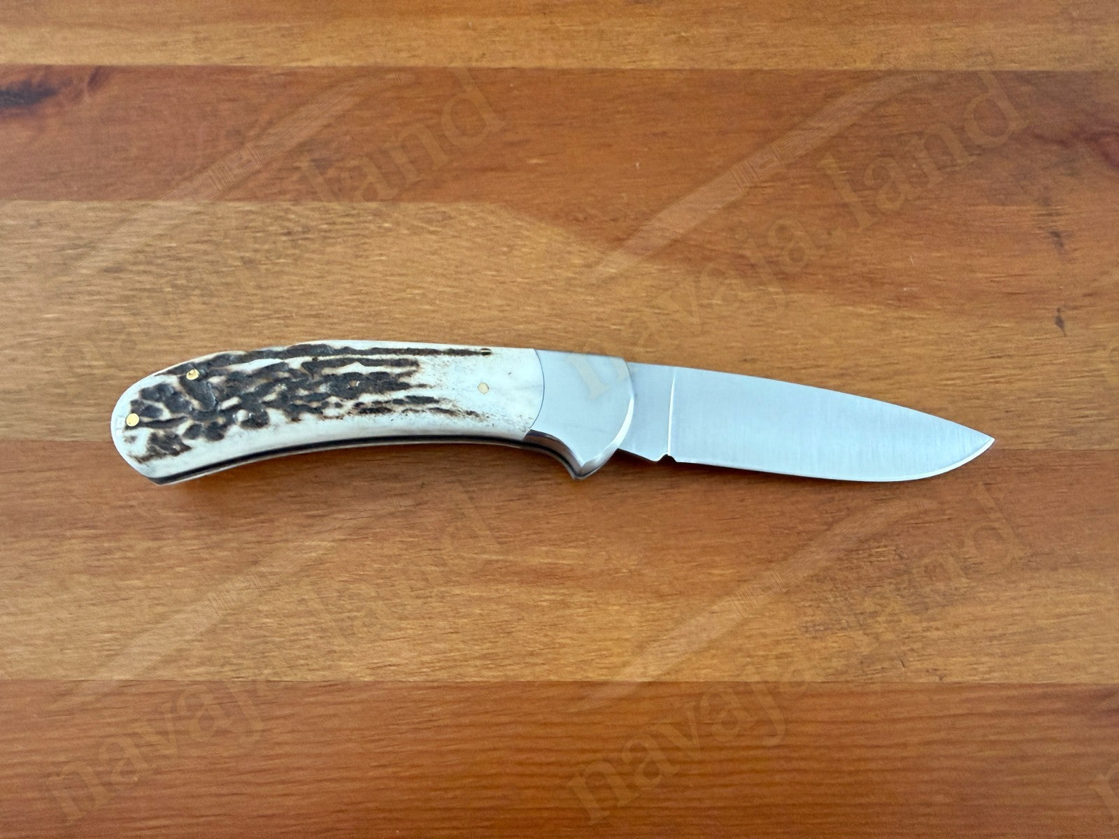 Joker Cocker Hunting Folding Knife 3.5” MOVA Blade Deer Antler Handle From Spain