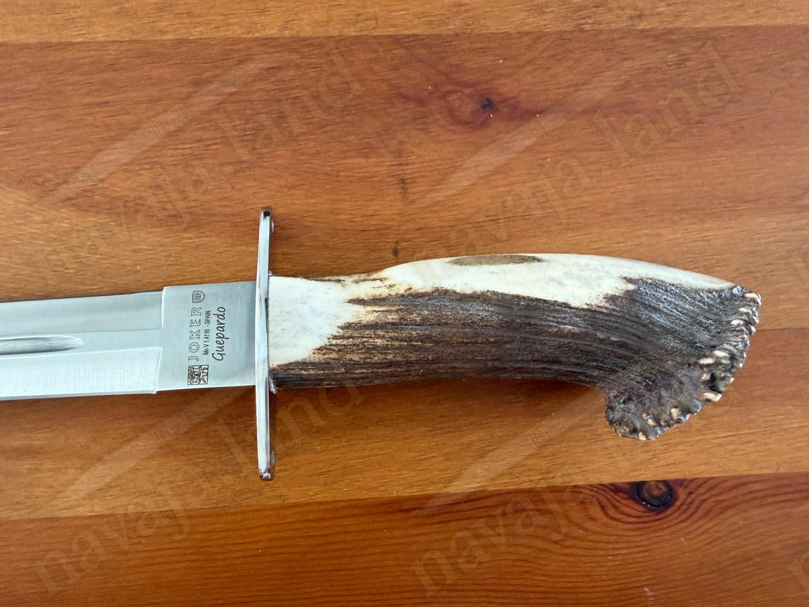 Joker Guepardo Hunting Knife – 11.81” Blade MOVA 1.4116 | Deer Antler Handle