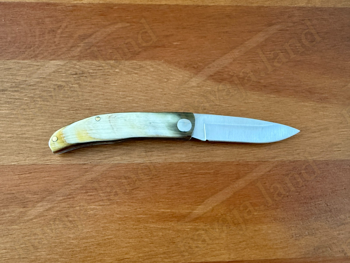 2.56” Joker Setter Bushcraft Folding Knife (Bull Horn Handle) Slipjoint - Spain
