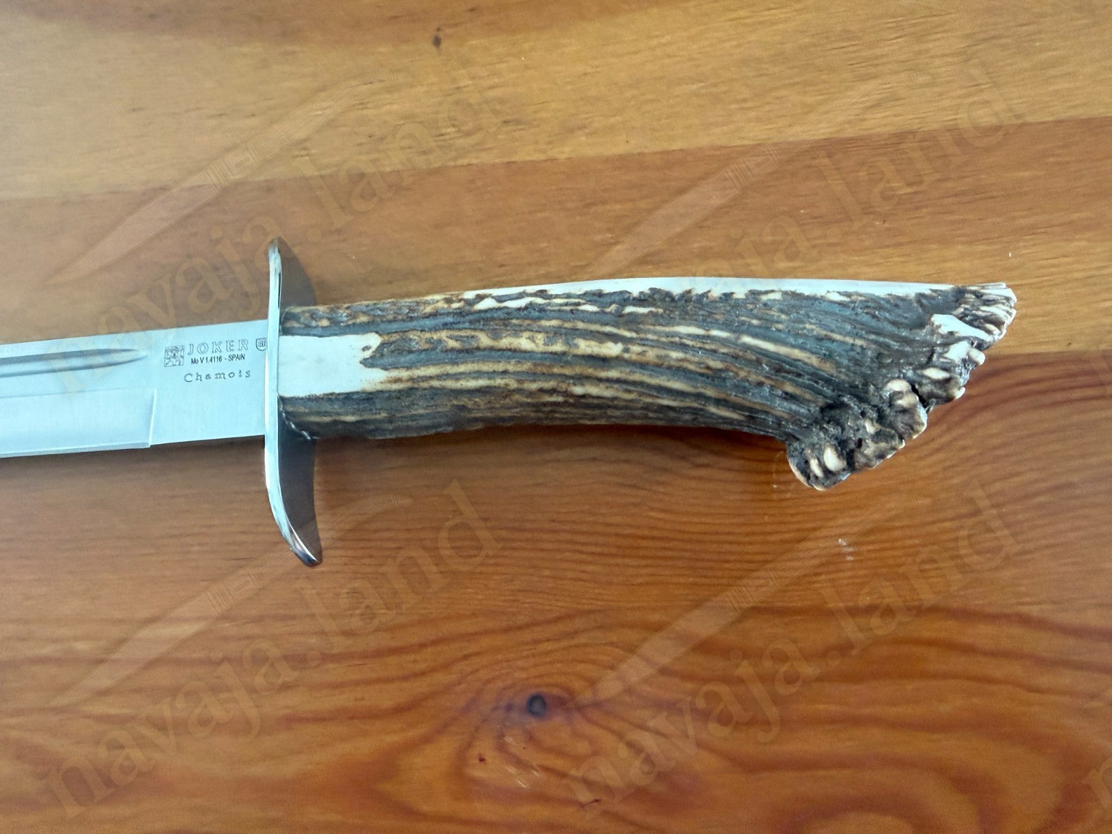 Joker Chamois Hunting Knife 10” MOVA Blade | Deer Antler Handle | Made in Spain
