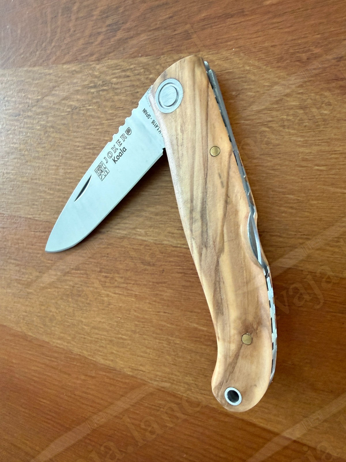 Joker Koala Pocket Knife 3.14” MOVA Blade Olive Wood Handle Handmade in Spain
