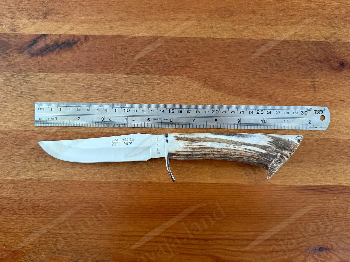 Joker Tigre Mountain Knife 5.51” MOVA Blade Stag Crown Handle Leather Sheath