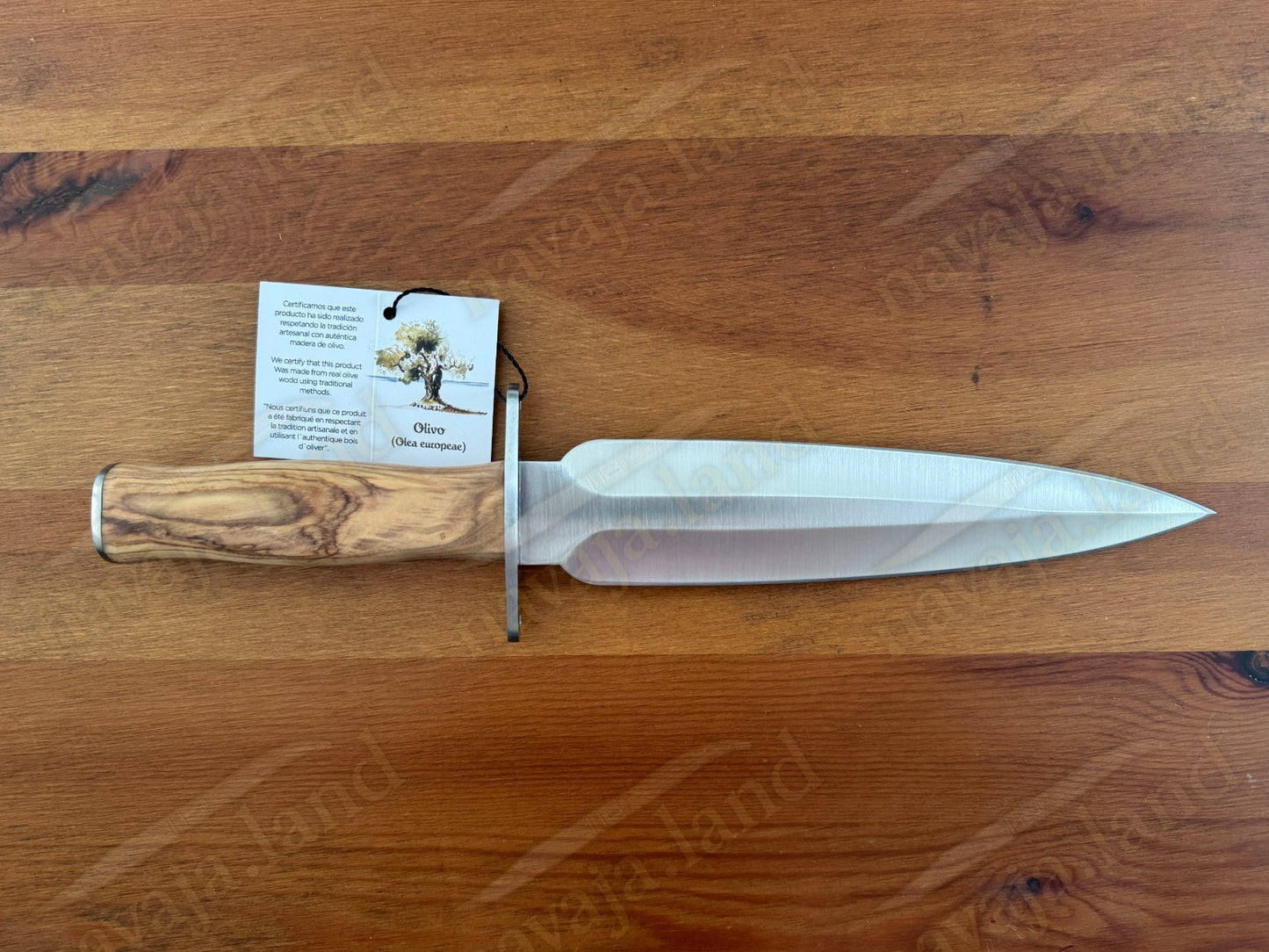 🔪Joker Colmillo Hunting Knife – 8.66” MOVA Blade | Olive Wood Handle | Spain