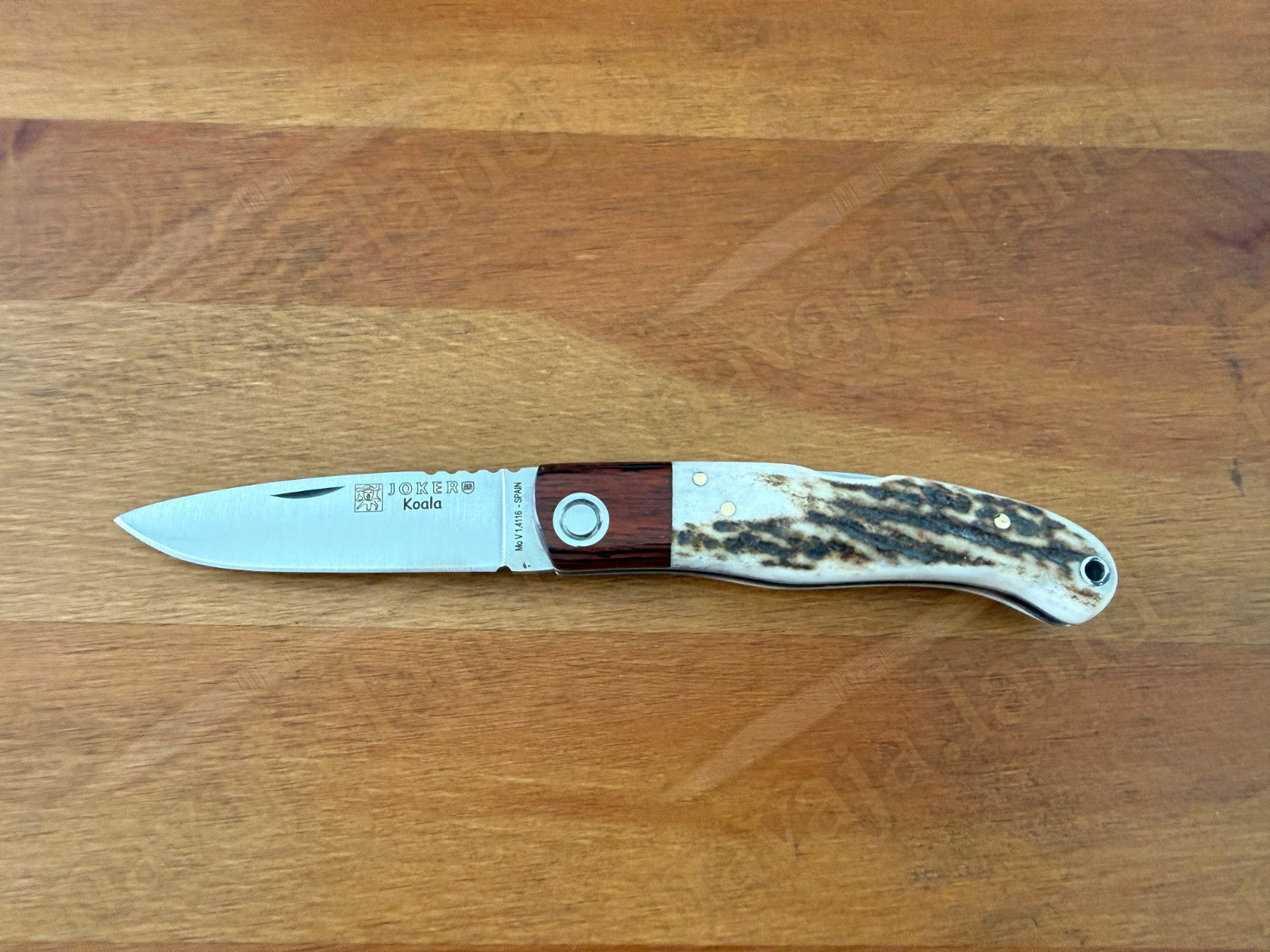 Joker Koala Pocket Knife 2.75” MOVA Blade Deer Horn Handle Grenadillo Ferrule