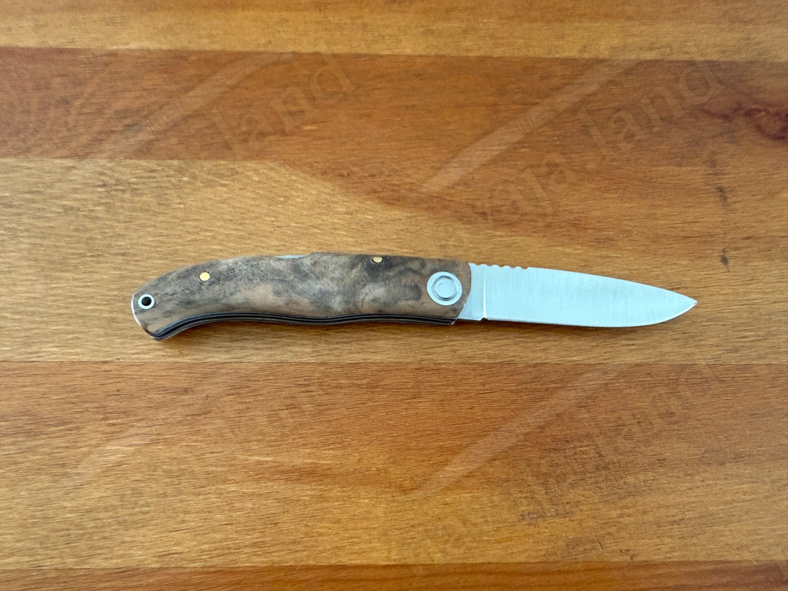 Joker Koala Pocket Knife 2.75” MOVA Blade Walnut Wood Handle Handmade in Spain