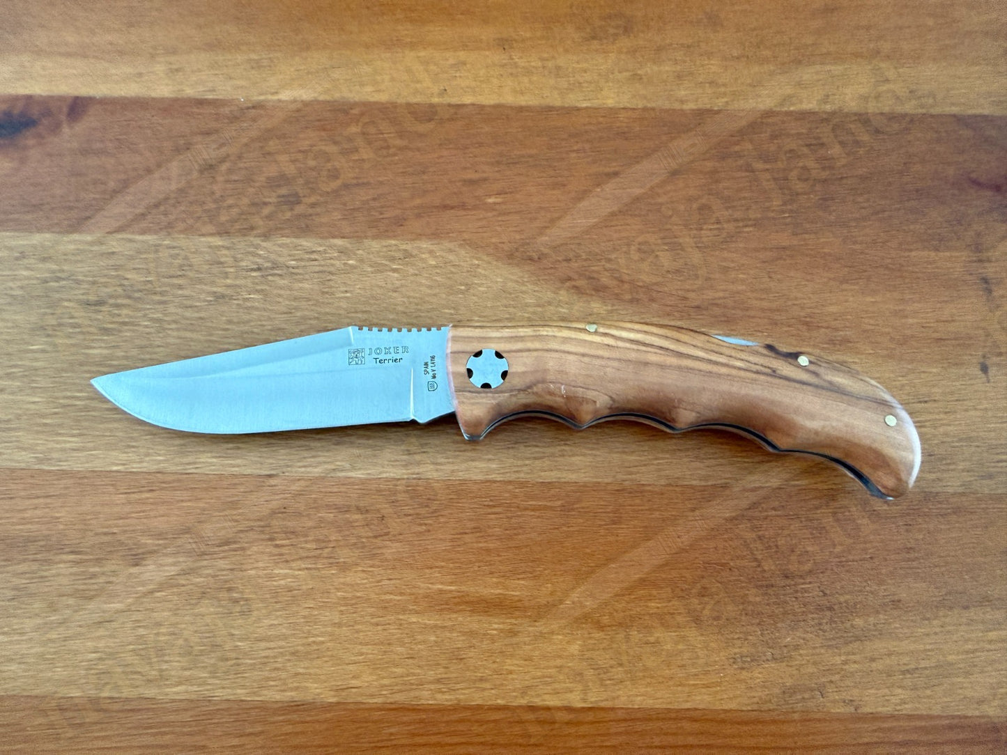 Joker Terrier Hunting Folding Knife 3.5” MOVA Blade Olive Wood Handle From Spain