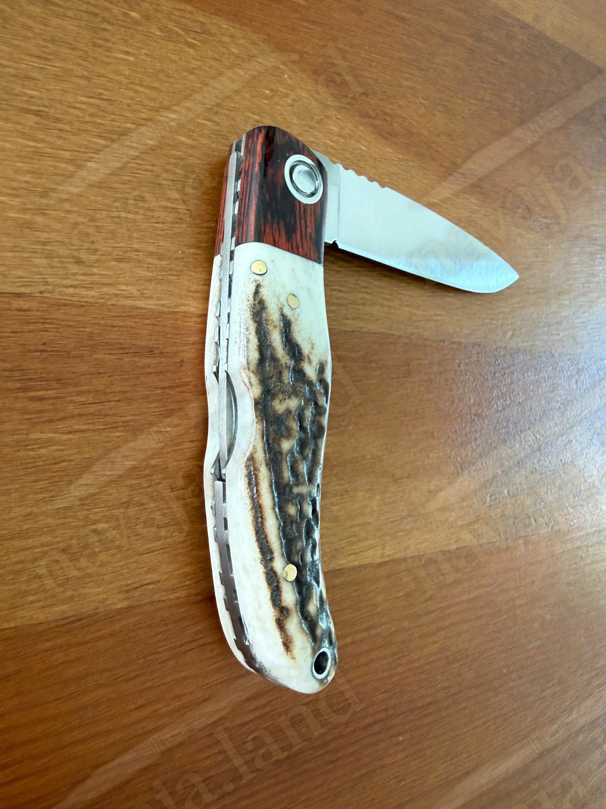 Joker Koala Pocket Knife 2.75” MOVA Blade Deer Horn Handle Grenadillo Ferrule