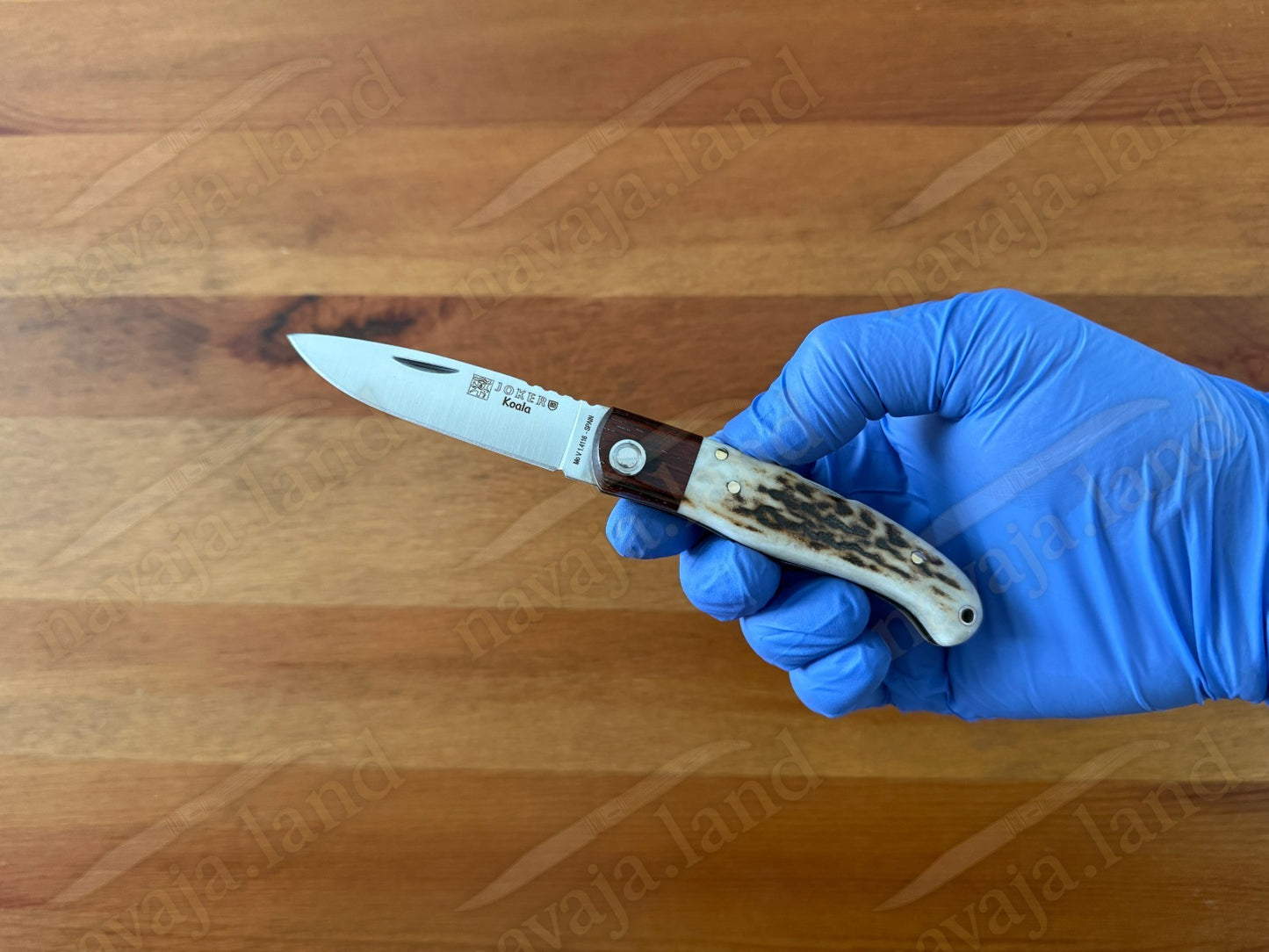 Joker Koala Pocket Knife 2.75” MOVA Blade Deer Horn Handle Grenadillo Ferrule
