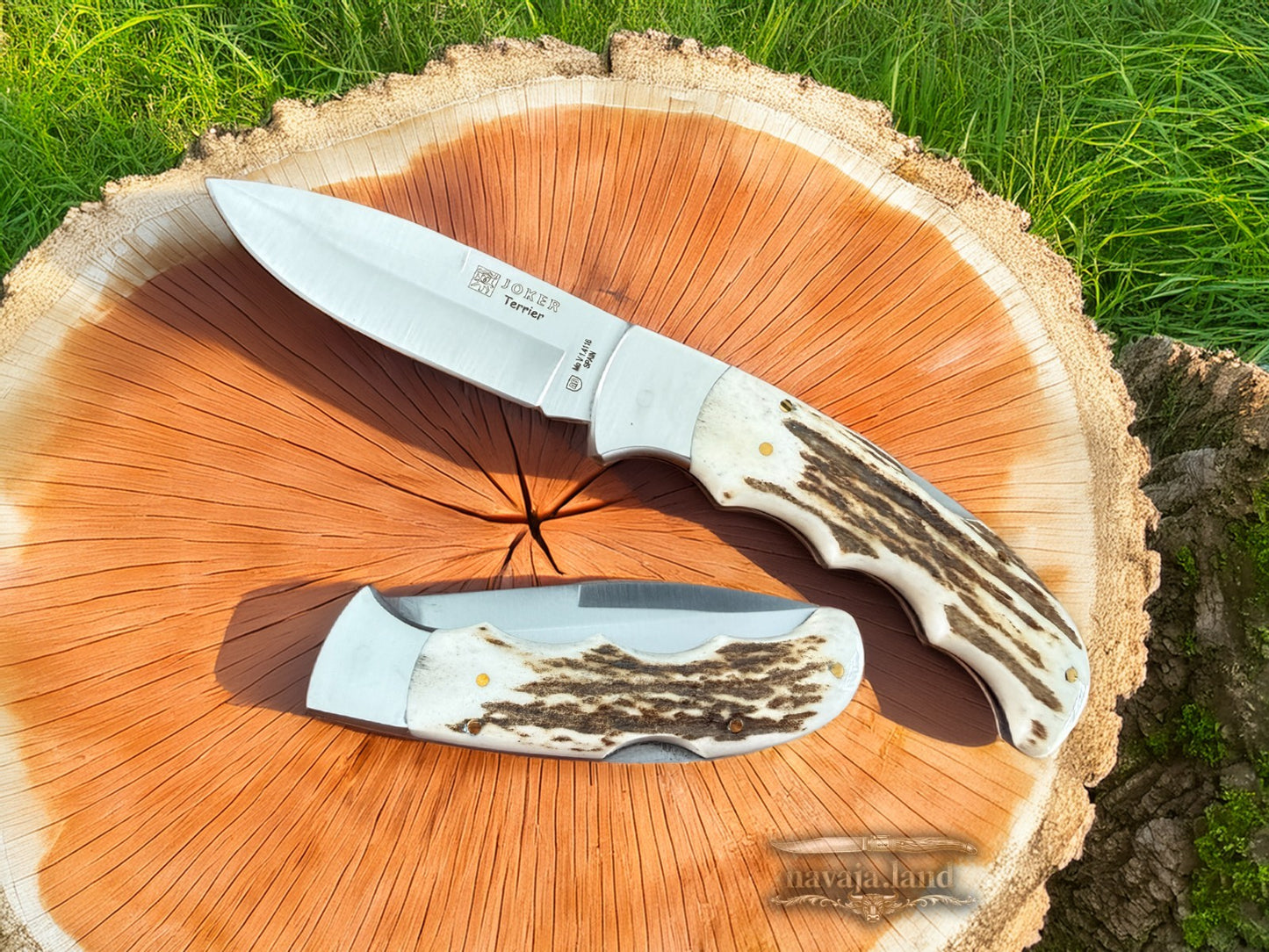 Joker Terrier Hunting Folding Knife 3.5” MOVA Blade Deer Horn Handle From Spain