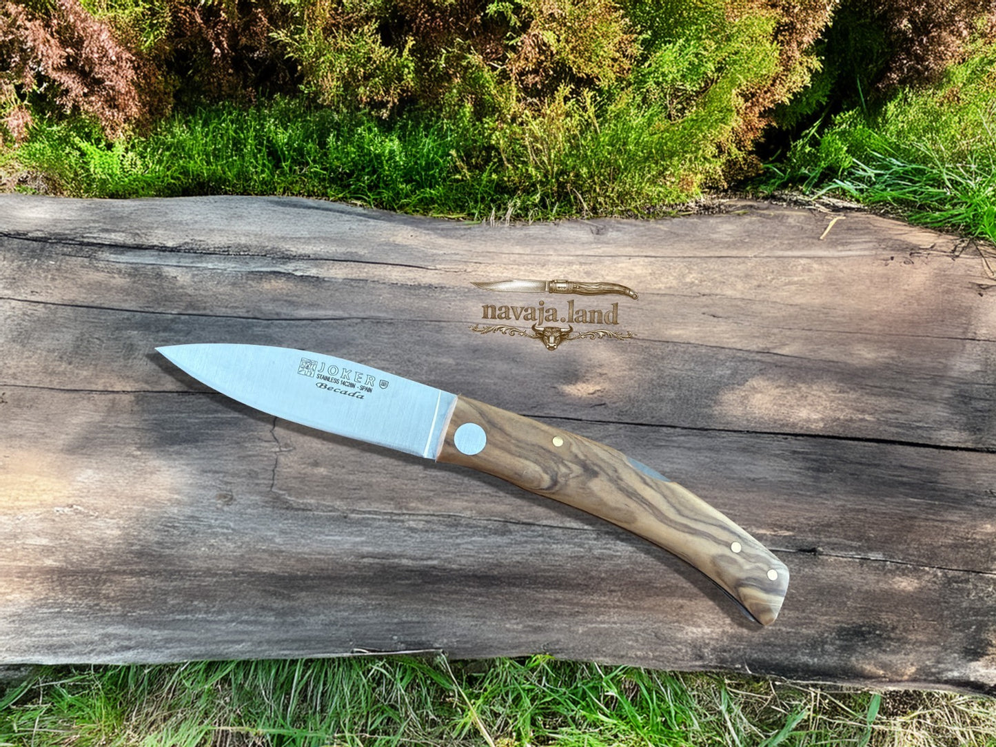 Joker BECADA Knife – 3.15” Sandvik 14C28N Blade | Olive Wood | Lockback - Spain