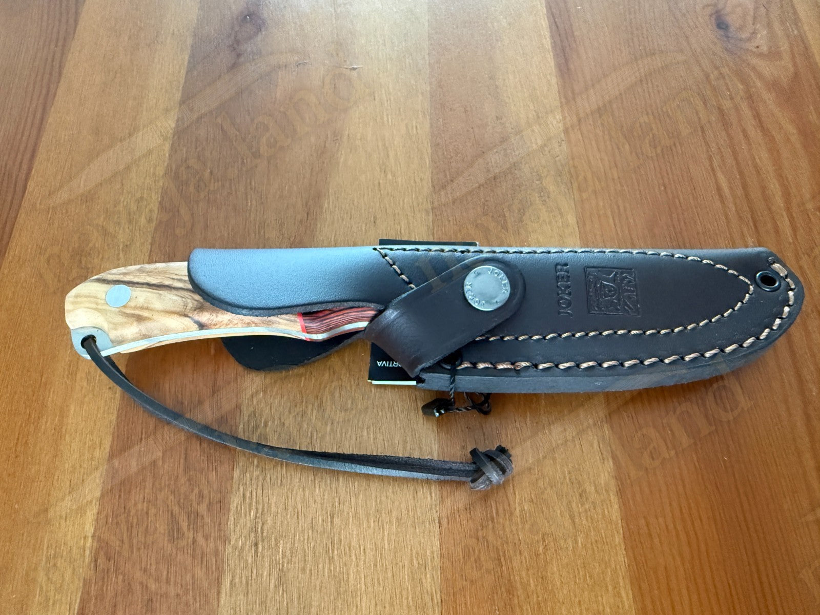 Joker Aguila Bushcraft Knife 4.13” MOVA Blade Olive Wood & Rosewood Handle