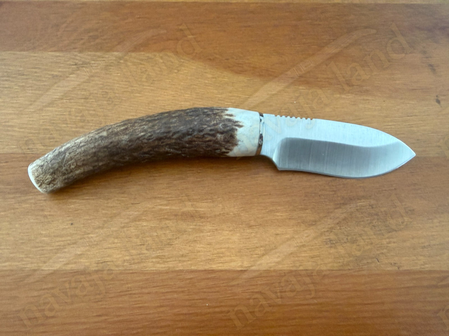 Joker Topo Hunting Knife Genuine Deer Horn Handle Leather Sheath Handmade Spain