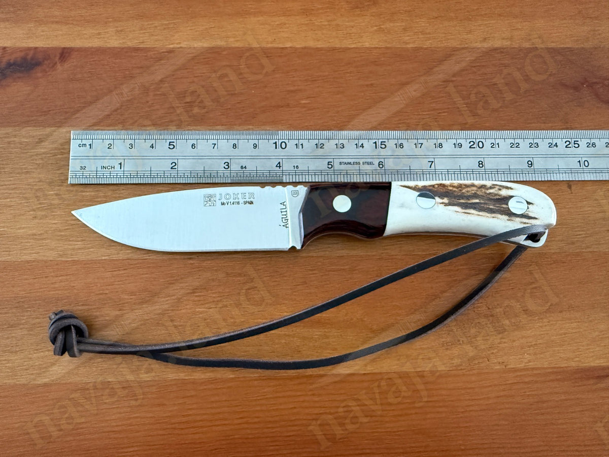 Joker Aguila Bushcraft Knife 3.34” MOVA Blade Deer Horn & Rosewood Handle