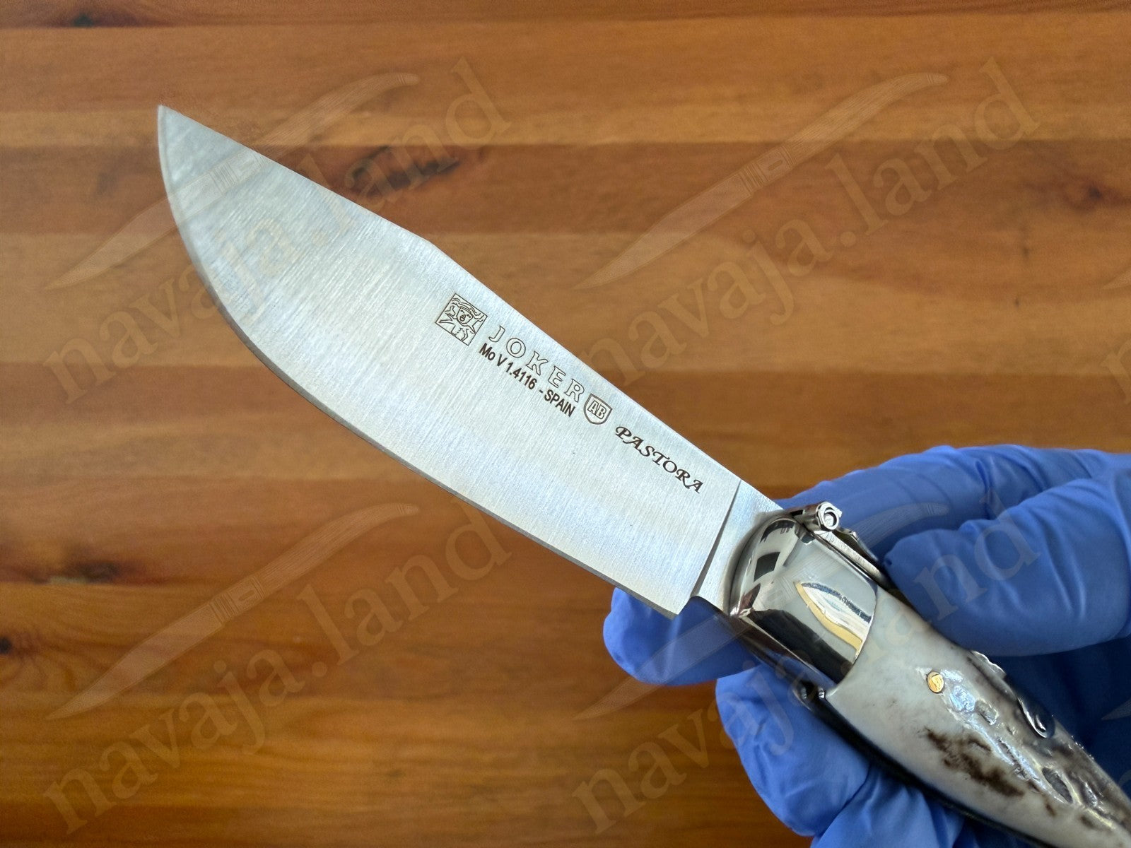 3.2” Joker Pastora Folding Knife Stag Horn Handle MOVA 1.4116 Stainless Steel