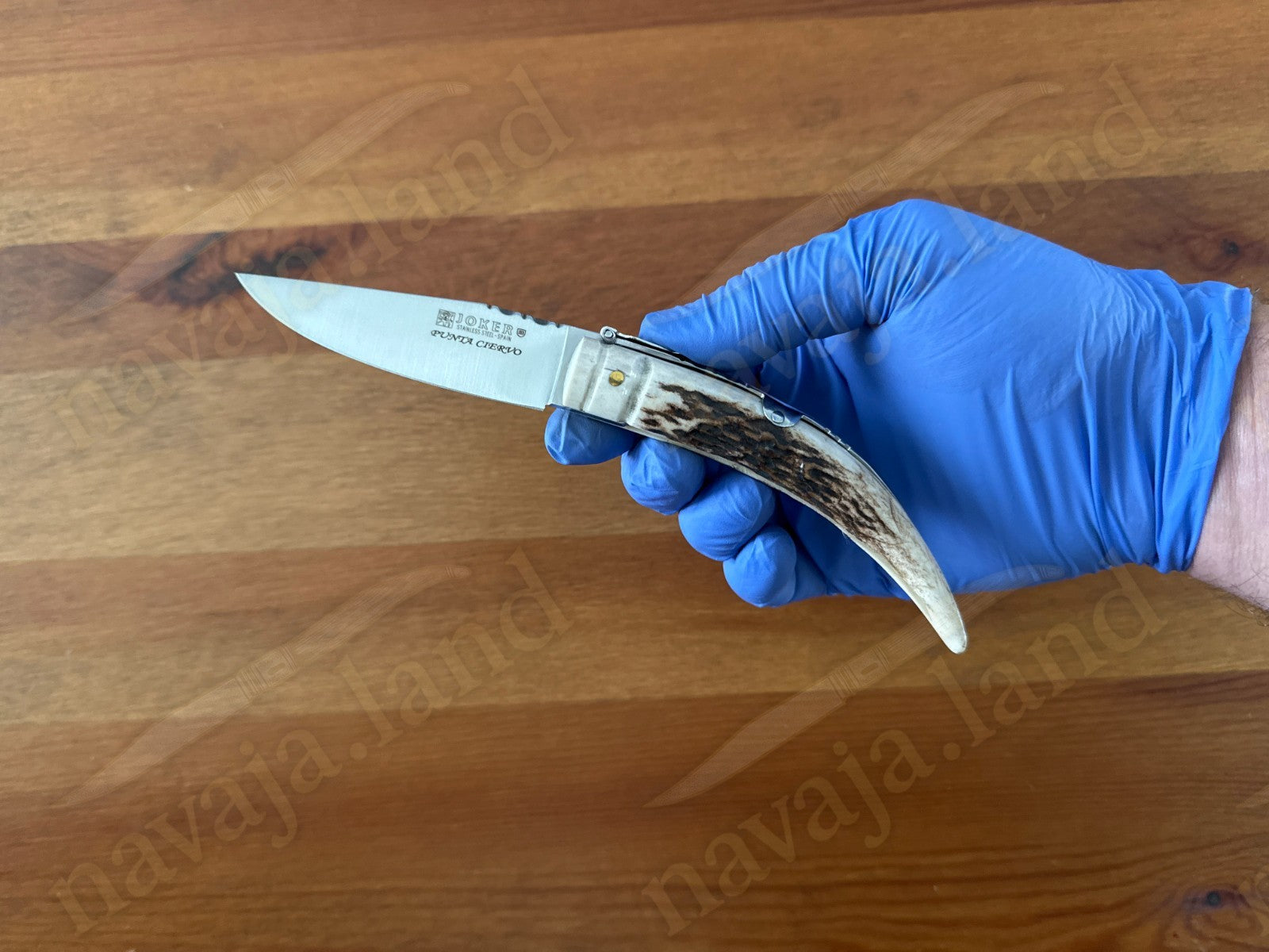 Joker Punta Ciervo Folding Knife Deer Antler Handle 3.3" MOVA Steel From Spain