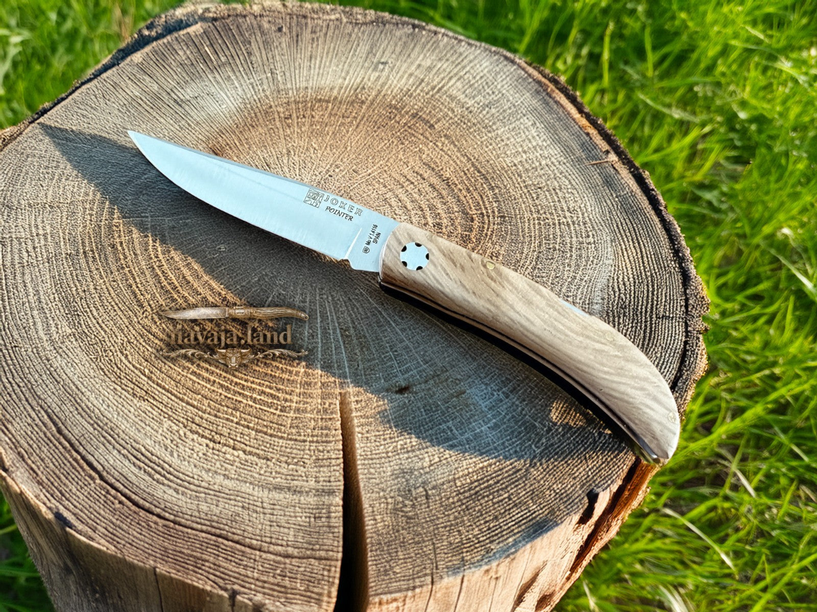 3.15” Joker Pointer Camping Folding Knife (Holm Oak Wood Handle) Made in Spain