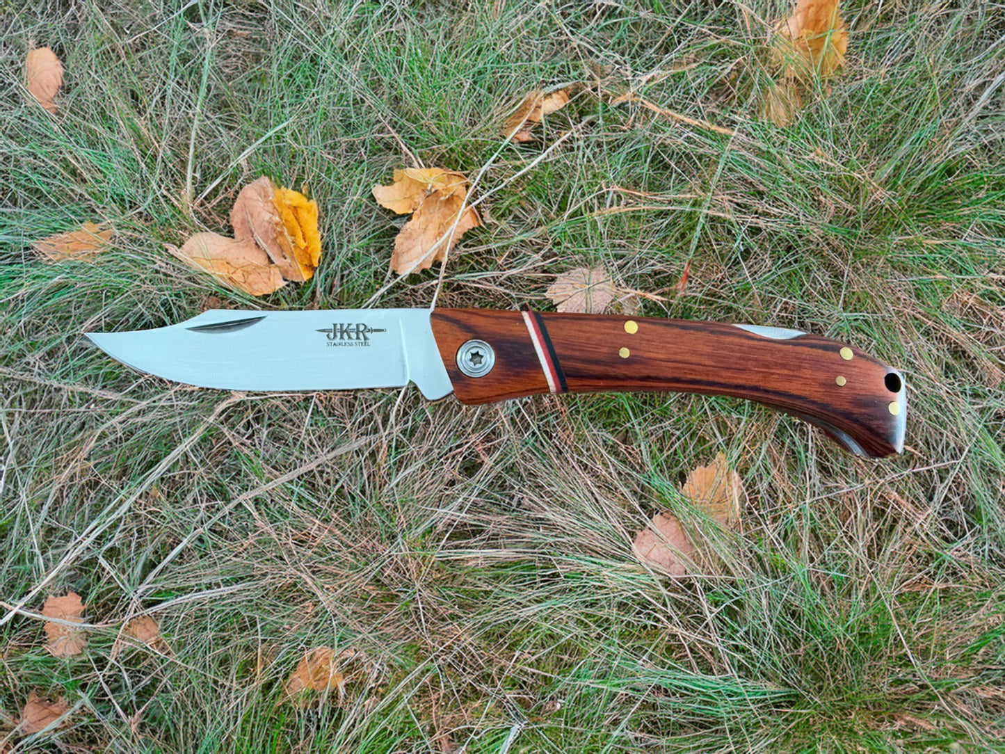 Folding Knife 7.5 cm (3 in) Stainless Steel Blade Lockback Pakkawood Handle