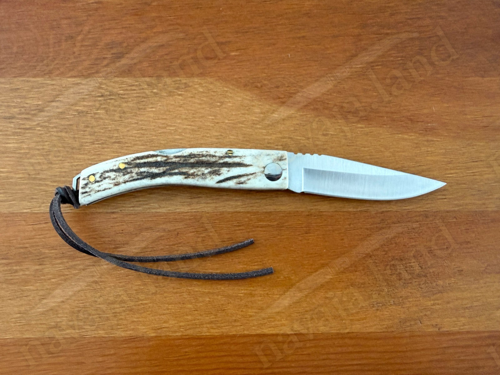 Joker Ibérica Folding Knife 🦌 Deer Horn Handle 3” MOVA 1.4116 Stainless Steel