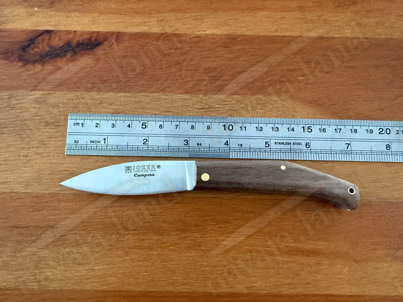 Joker Campera Pocket Knife 3” MOVA Steel Blade Dark Walnut Wood Handle