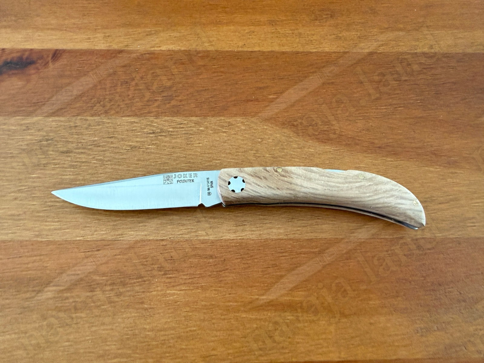 3.15” Joker Pointer Camping Folding Knife (Holm Oak Wood Handle) Made in Spain