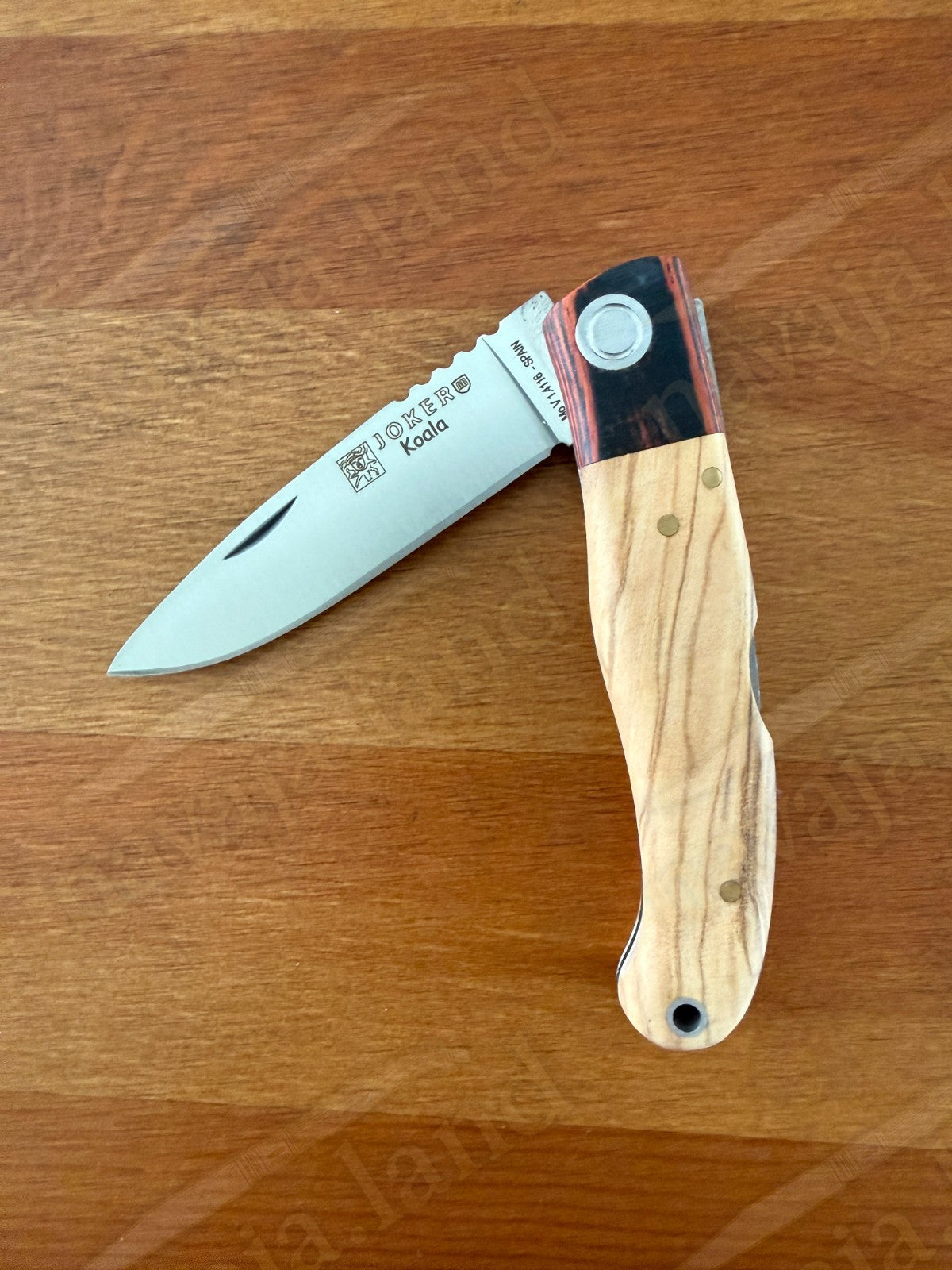 Joker Koala Pocket Knife 3.14” MOVA Blade Olive Wood & Rosewood Handle