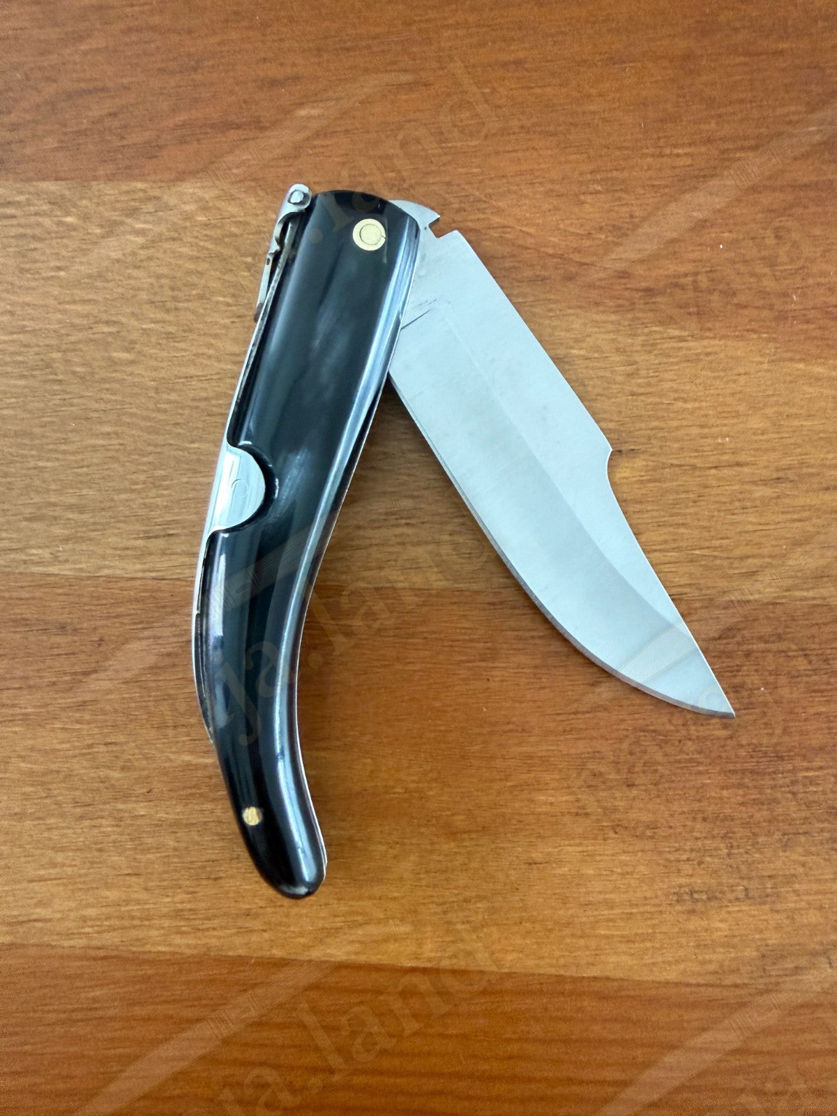 Cudeman Albaceteña 380-A Folding Knife – Bull Horn Handle | Molybdenum Vanadium