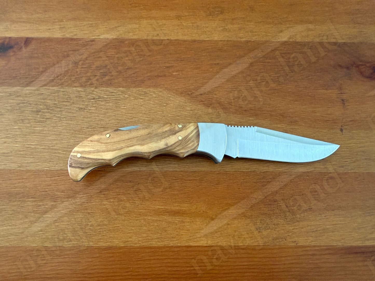 Joker Terrier Hunting Folding Knife 3.5” MOVA Blade Olive Wood Handle From Spain
