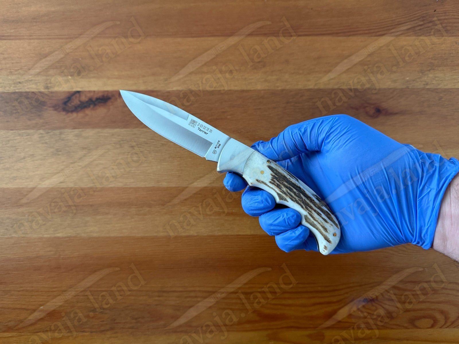 Joker Terrier Hunting Folding Knife 3.5” MOVA Blade Deer Horn Handle From Spain