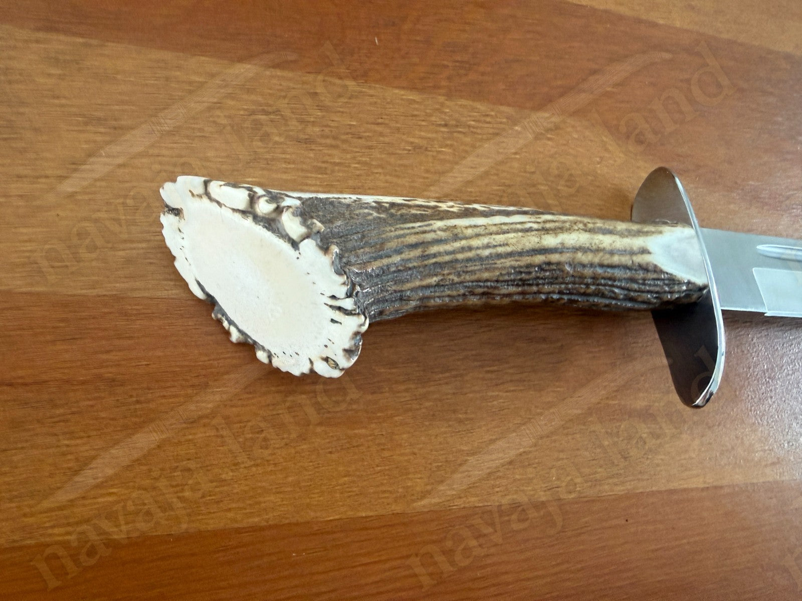 Joker Chamois Hunting Knife 10” MOVA Blade | Deer Antler Handle | Made in Spain