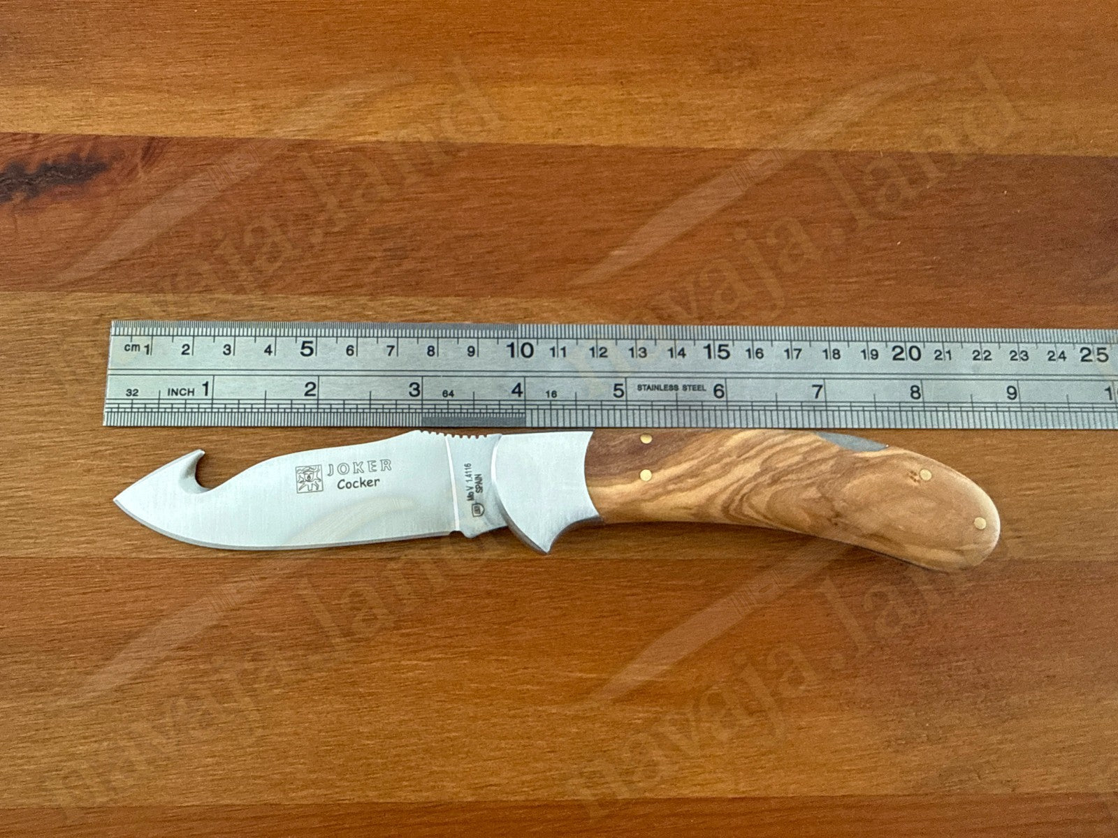 Joker Cocker Hunting Skinning Folding Knife 3.54” MOVA Blade Olive Wood Handle