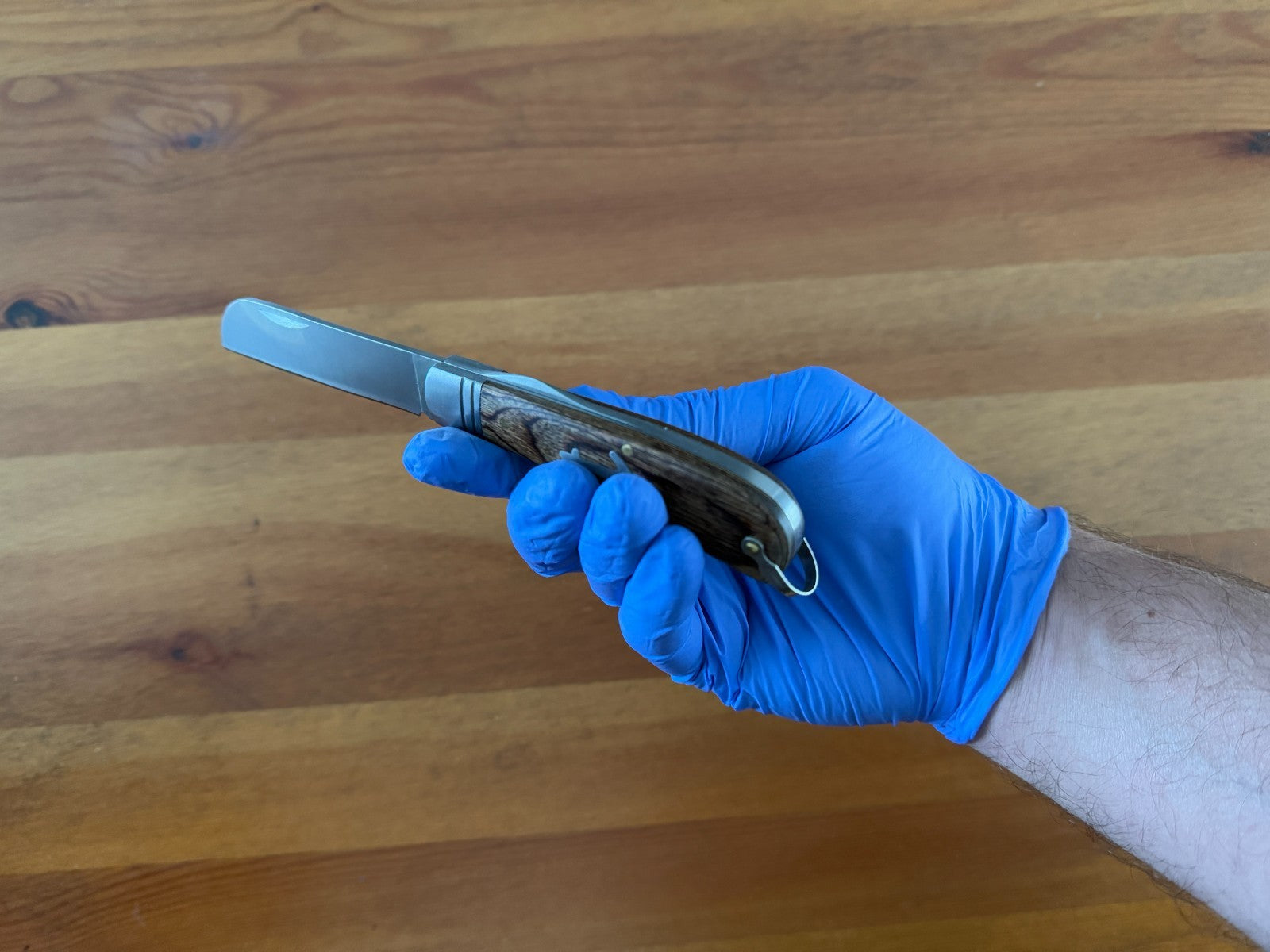 3.15" Bird Beak Navaja Pocket Knife Sailor / Marinera Wood Handle Anchor Insert