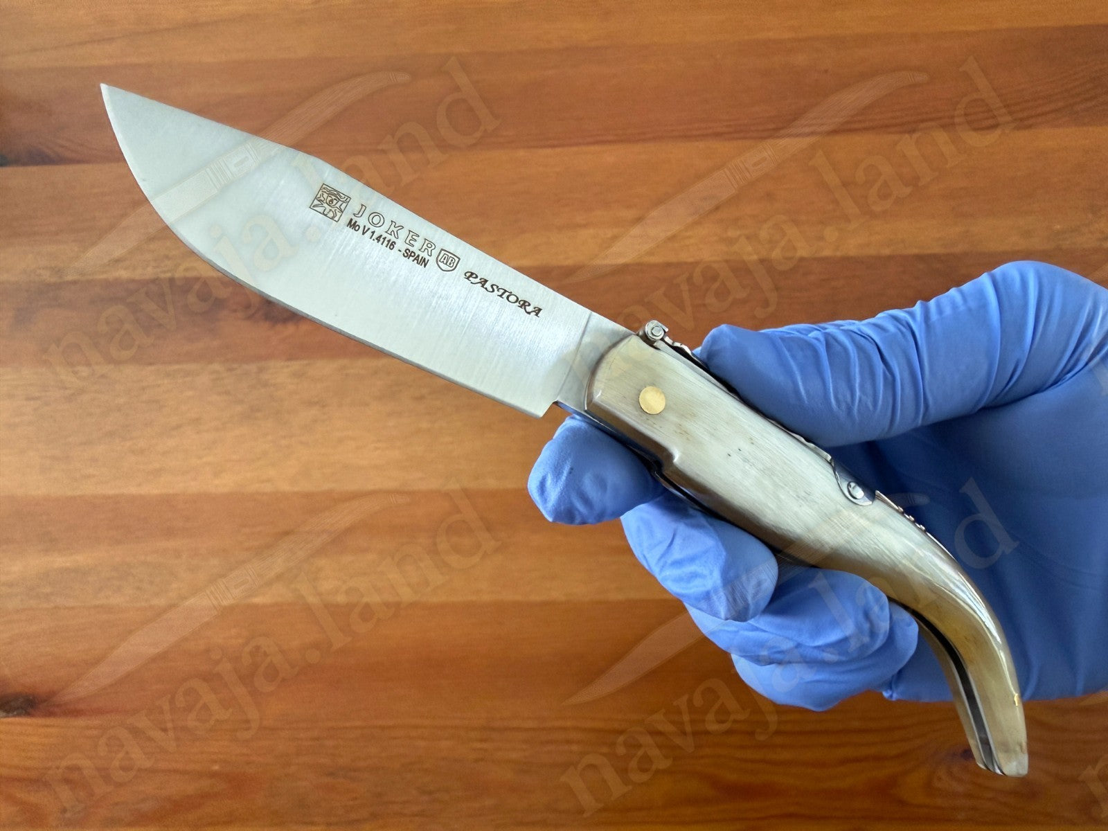 3.15” Joker Pastora Folding Knife Bull Horn Handle MOVA 1.4116 Stainless Steel